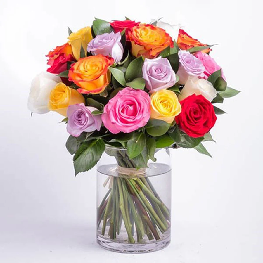 Colourful Roses
