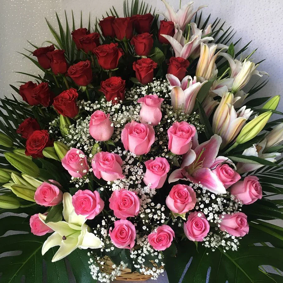 Delightful Blossom